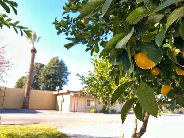 Royal Inn and Suites image 13